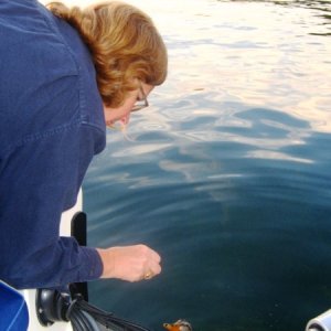 Feeding ducks on mooring ball outside of Ithaca, NY