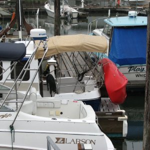 IMG 0464