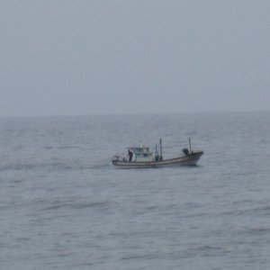 Media 'net fishing' in album 'Cathy and Kim at Mt Seoraksan in S korea'