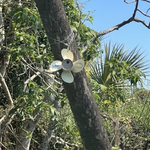 Prop Birdhouse up close