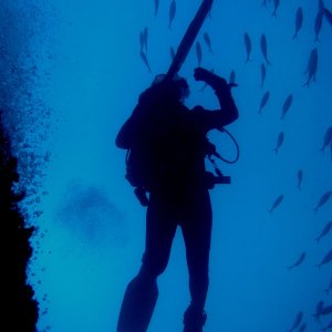 Spearfishing on rig off Port Aransas