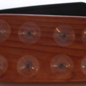 Bottom with suction cups installed