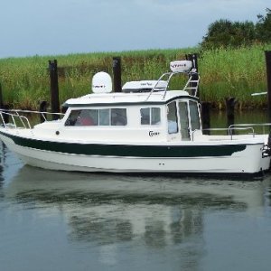 Apalachicola Fl.     Is that a gator?