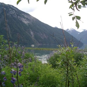 Price Cove