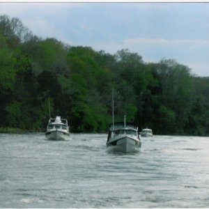 Media 'Byrdman, C-Pearl, Falcon, on Tenn. River' in album 'Look at C-Dorys Cumberland River Cruise 2007'