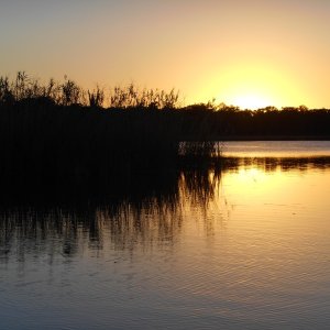 Quiet, secluded anchorage off Scipio Creek.