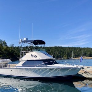 Media 'Friday Harbor' in album 'Alure on Lopez'