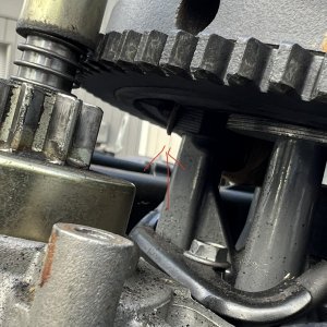 IMG 4350