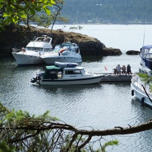 Harmony 23\' Cape Cruiser Wallace Island