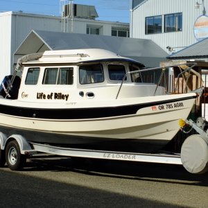 Media 'Life of Riley' in album 'G.S. Lollipop in Bellingham, WA'