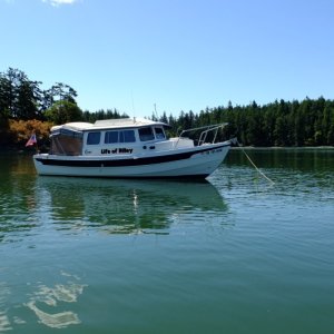 Media 'Divine peace at anchor' in album 'G.S. Lollipop in Bellingham, WA'