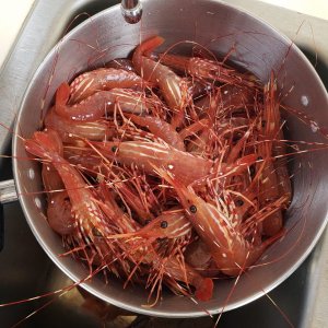 Caught a nice prawn dinner just outside Echo Bay