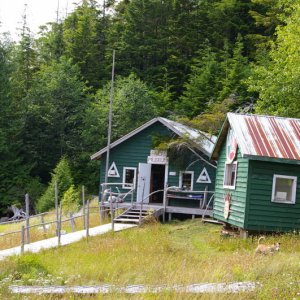 Billy Proctor's home and Museum