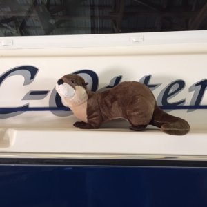 Cotter the C-Otter