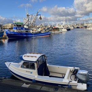 Fishermans Terminal public dock