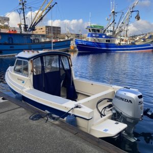 Fishermans Terminal public dock