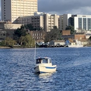 Media 'Photo taken by Bambina?a original owner' in album 'Fishermans Terminal public dock'