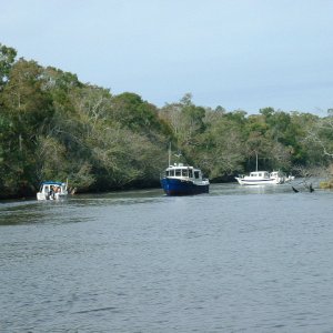 Tour of the river led by the new C-Ranger 25