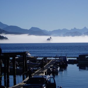 (DaveMar) Things that go bump in the fog - Discovery Passage