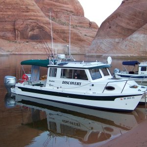 Discovery in Oak Canyon Sunday morning 9/25/11
