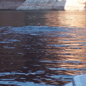 Bill swimming at Explorer Canyon