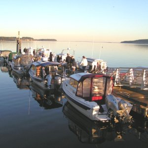 (Pat Anderson) Saturday Morning, the Other Side of the Dock!