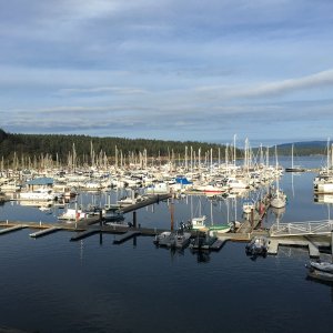 Quiet marina this time of year