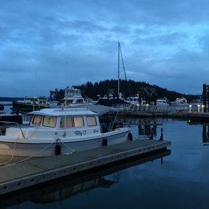 Short days in late December