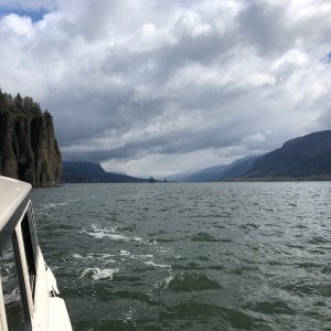 Media 'The Columbia Gorge is not gross.' in album 'First time wet.'
