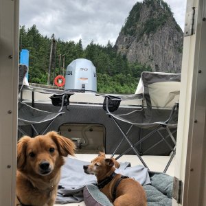 Media 'Party dawgs' in album 'First time wet.'