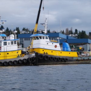 Tugs again.