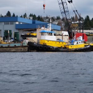 Tugs yet again.