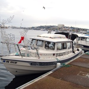 The flotilla on the dock at Ivars.