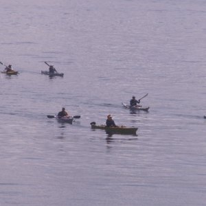 Kayakers at James Island 6-28-09