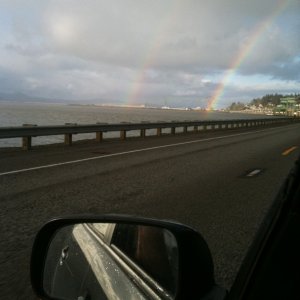 Picture 001