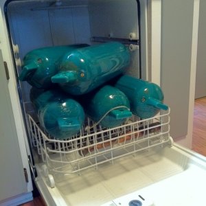 IMG 0729