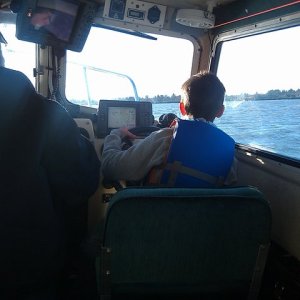 Skipper Jack
