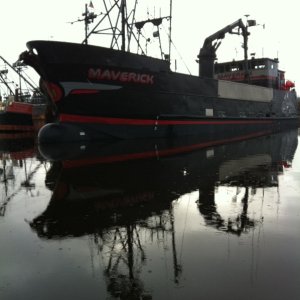 IMG 0825