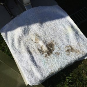 IMG 7044