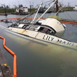 IMG 0288
