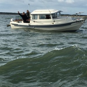 IMG 0572
