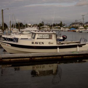 Media 'Raven at dock.jpg' in album 'Flounder1.jpg'