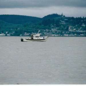 Media 'raven2.jpg' in album 'Flounder1.jpg'