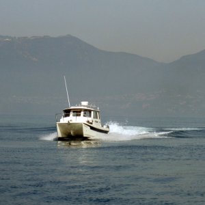 !cid  87bcd850-6d9d-454b-8544-69c8fa7989ad