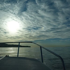 DSC0737