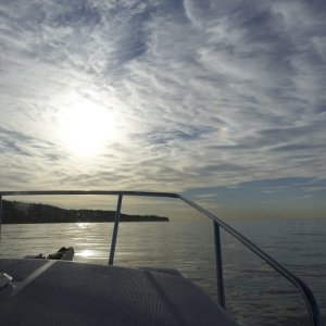 DSC0738