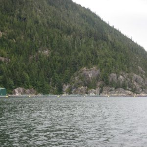 Clio Channel Salmon Farm