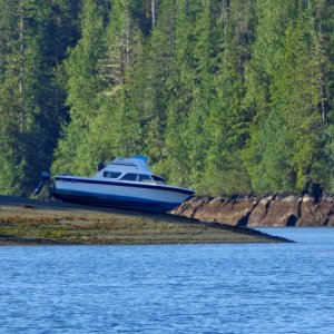This poor guy miscalculated a bit on the current depth and the tide change before he tossed out his anchor. This is what he woke up to. But he had a great sense of humor as we passed by.