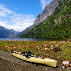 Punchbowl Cove in Misty Fjords National Monument. Granite cliffs 3000 feet tall plunge into water 1000 feet deep. We tied to a mooring buoy,  kayaked to shore and then hiked an amazingly difficult trail to some gorgeous waterfalls.  Life is good.  A few hours after we returned to the boat, there was a big brown bear on this same beach.