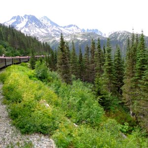 Scenery was gorgeous on the White Pass train